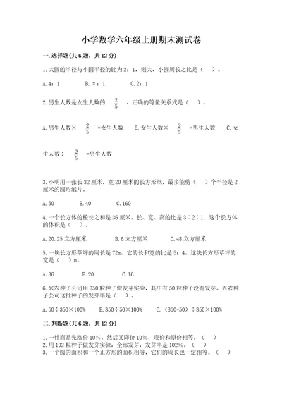 小学数学六年级上册期末测试卷含完整答案（名师系列）