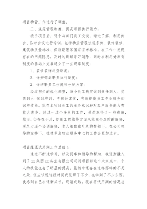 项目经理试用期工作总结.docx