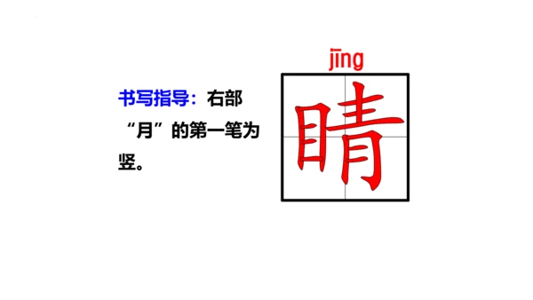 1《小蝌蚪找妈妈 》课件