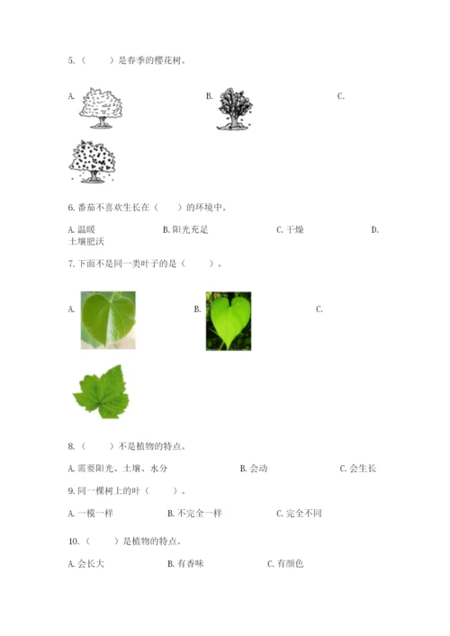 教科版一年级上册科学期末测试卷（历年真题）word版.docx