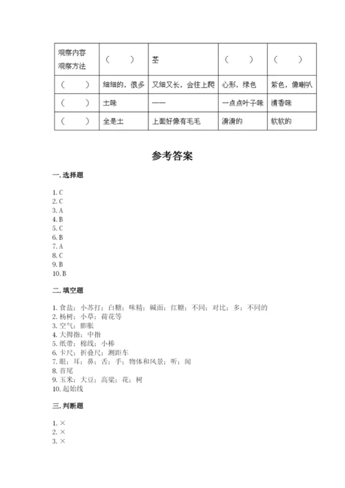 教科版一年级上册科学期末测试卷（考点梳理）.docx