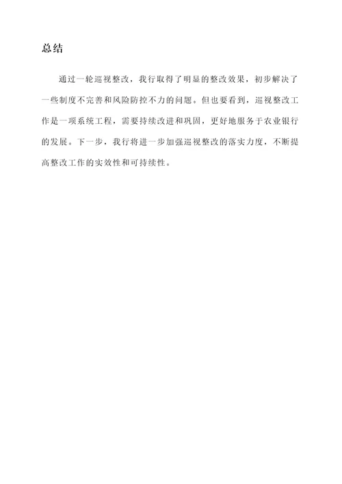 农业银行巡视整改情况汇报