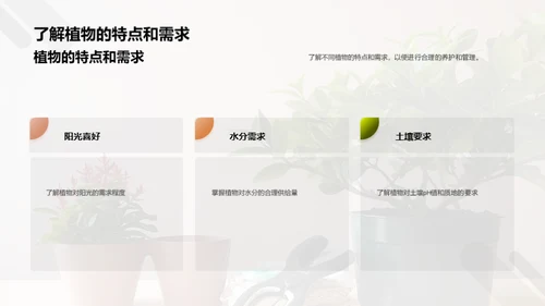 植物养护：小白到专家之路