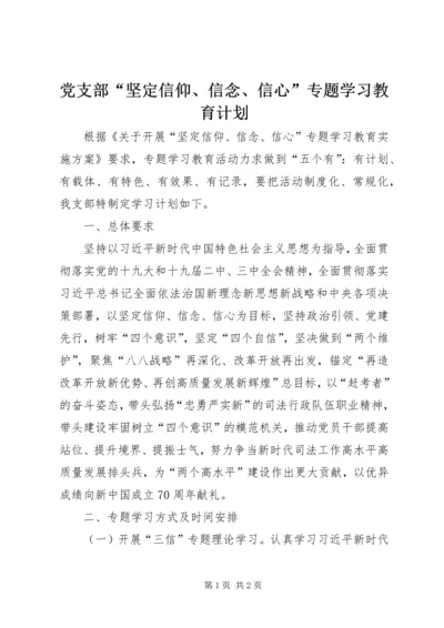 党支部“坚定信仰、信念、信心”专题学习教育计划.docx