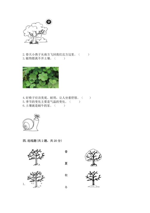 教科版二年级上册科学期末测试卷及参考答案【研优卷】.docx
