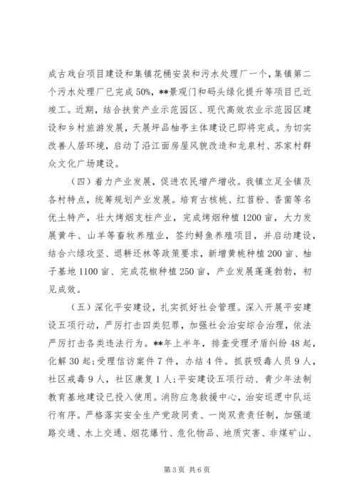 精选镇上半年工作总结和下半年工作计划.docx