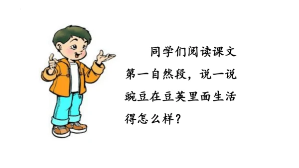 5《一个豆荚里的五粒豆》  课件