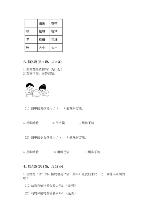 教科版科学一年级上册第一单元植物测试卷附完整答案夺冠系列