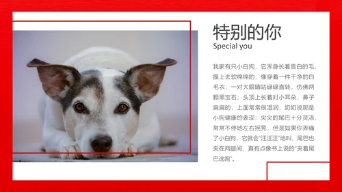 丑萌的小狗狗宠物通用PPT模板