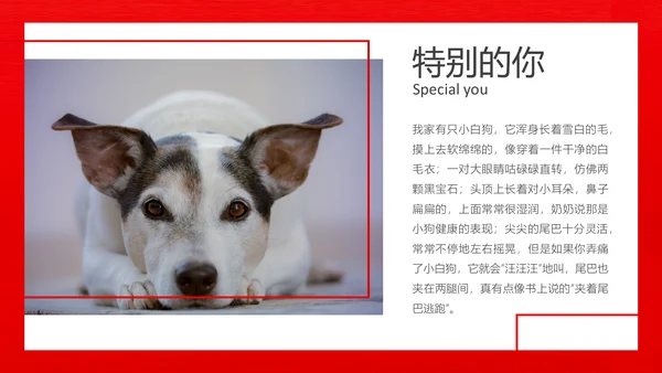 丑萌的小狗狗宠物通用PPT模板