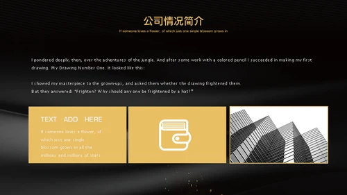 黑金奢华高端房地产商业计划书通用PPT模板