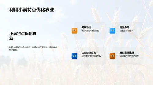 小满季节与农耕