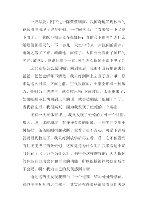 我的发现作文400字蚯蚓.docx