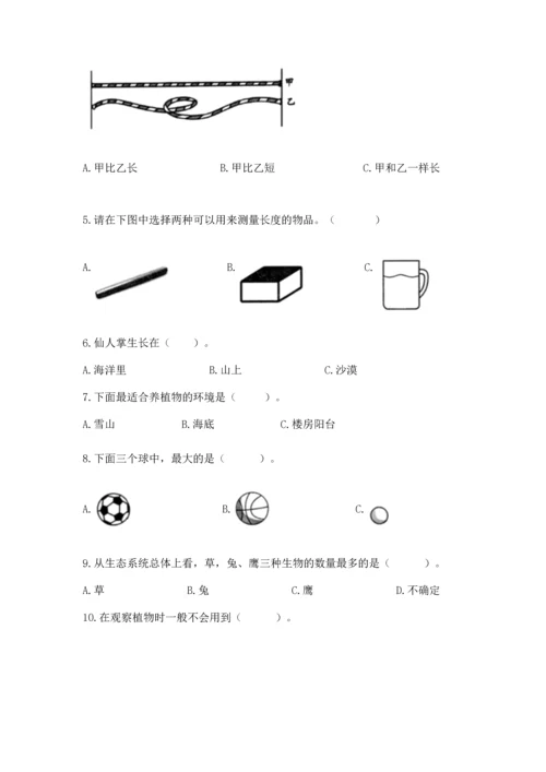 教科版一年级上册科学期末测试卷【黄金题型】.docx