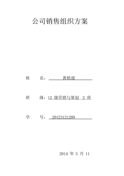 公司营销组织方案