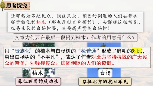 15 白杨礼赞 课件