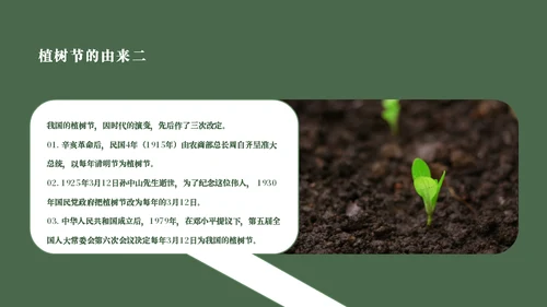 简约风植树节主题班会通用PPT模板
