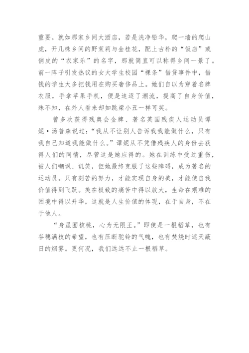 追寻自身价值-议论文.docx