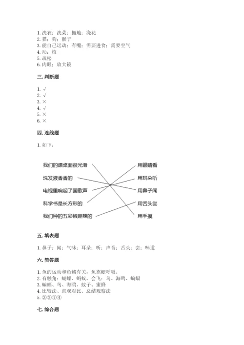 教科版一年级下册科学期末测试卷精品【黄金题型】.docx