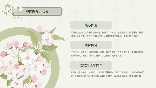 绿色清新中国风三伏天养生中医理疗知识讲座PPT模板