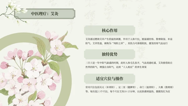 绿色清新中国风三伏天养生中医理疗知识讲座PPT模板