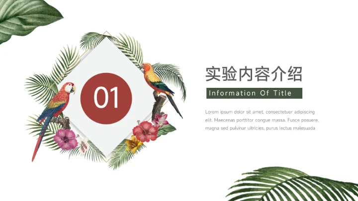 绿色插画风生物科学实验教学PPT模板