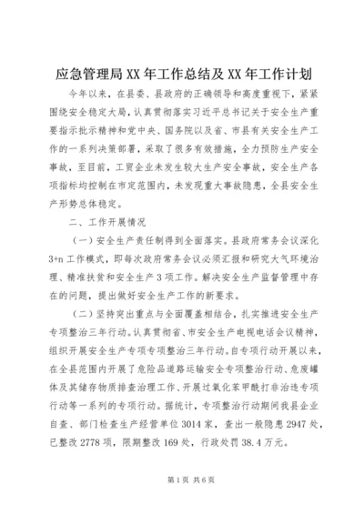 应急管理局XX年工作总结及XX年工作计划.docx