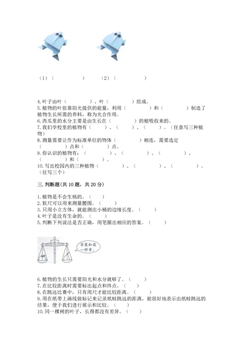 教科版一年级上册科学期末测试卷（名师系列）.docx