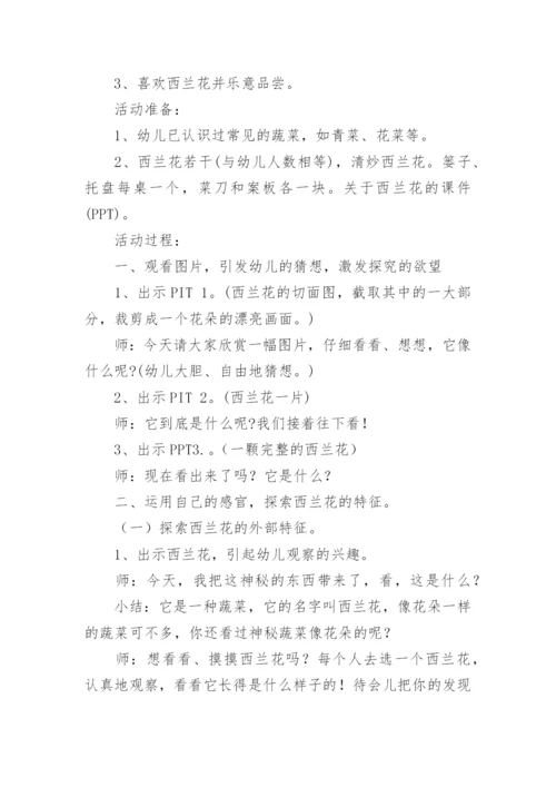 《好吃的西兰花》中班教案.docx