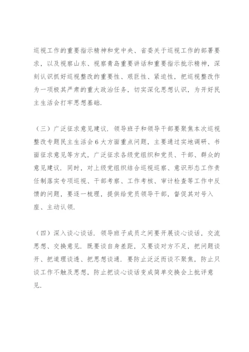 巡视整改专题民主生活会实施方案3篇.docx