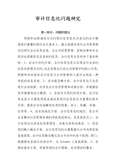 现代审计信息化问题专题研究报告.docx