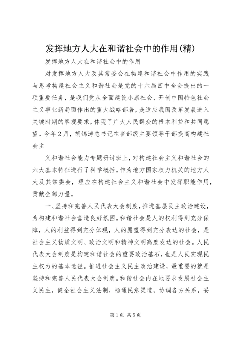 发挥地方人大在和谐社会中的作用(精).docx