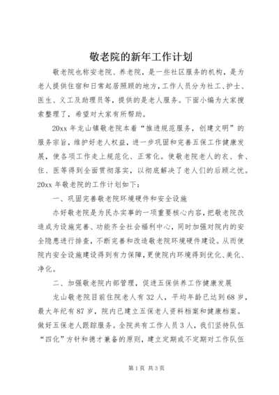 敬老院的新年工作计划 (2).docx