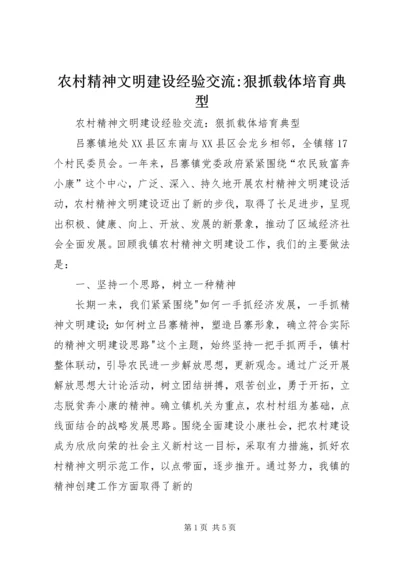 农村精神文明建设经验交流-狠抓载体培育典型.docx