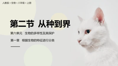 6.1.2+从种到界-【互动课堂】八年级生物上册精品课件（人教版）(共20张PPT)