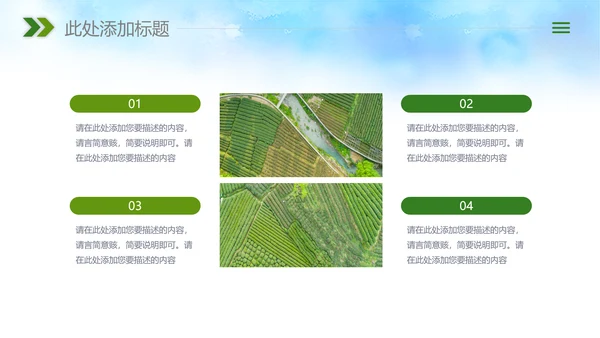 农业新农村种子春耕乡村振兴麦田发芽PPT