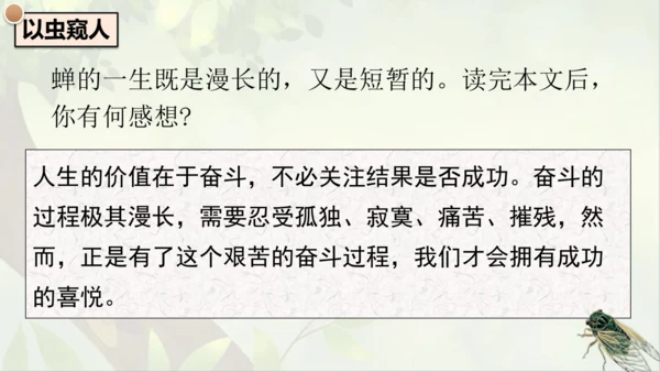 21《蝉》课件