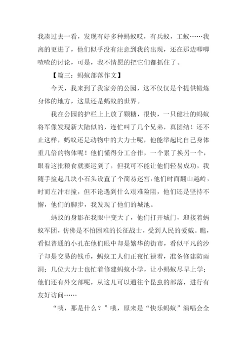 蚂蚁部落作文.docx