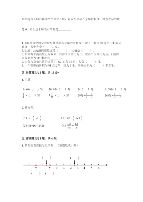 石家庄市鹿泉市六年级下册数学期末测试卷及完整答案一套.docx