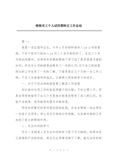 销售员工个人试用期转正工作总结.docx