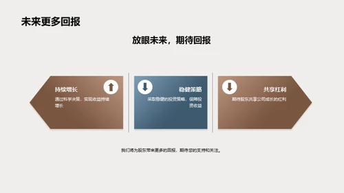 公司未来发展规划