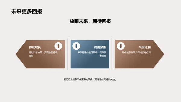 公司未来发展规划