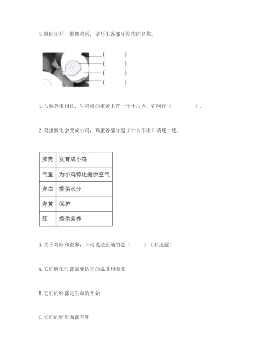 教科版三年级下册科学期末测试卷【b卷】.docx