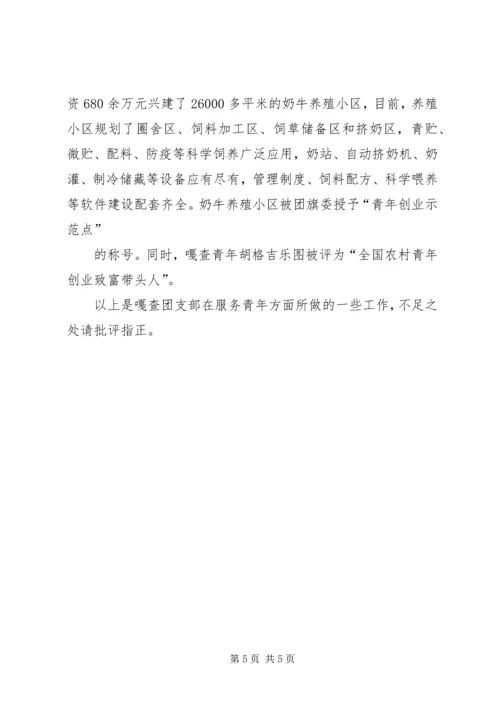 团支部工作汇报 (5).docx