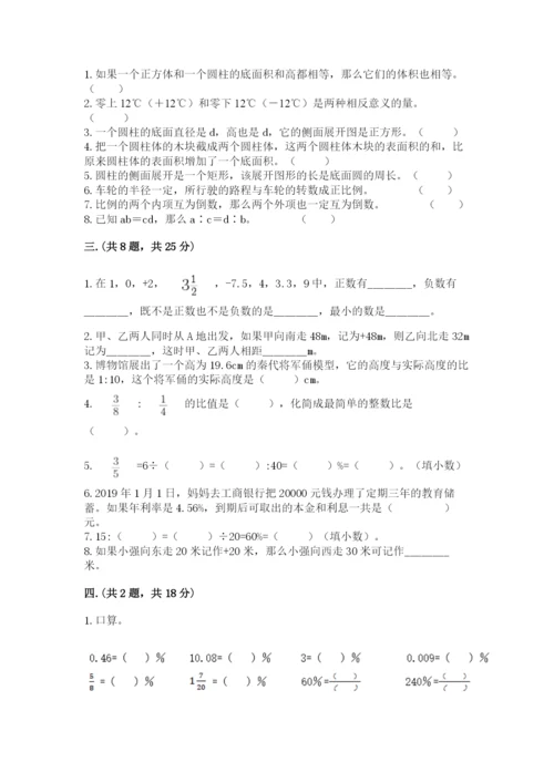 河南省平顶山市六年级下册数学期末考试试卷【夺冠系列】.docx