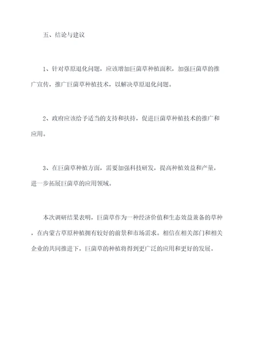 巨菌草种植调研报告