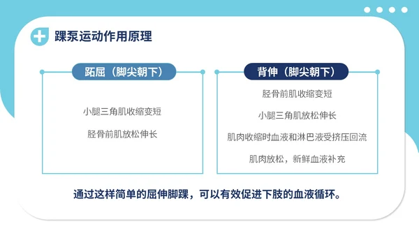 蓝色插画医疗医院医生护士踝泵运动健康宣教学习培训模板