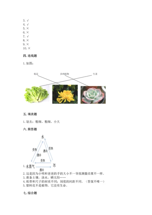 教科版一年级上册科学期末测试卷带答案（精练）.docx