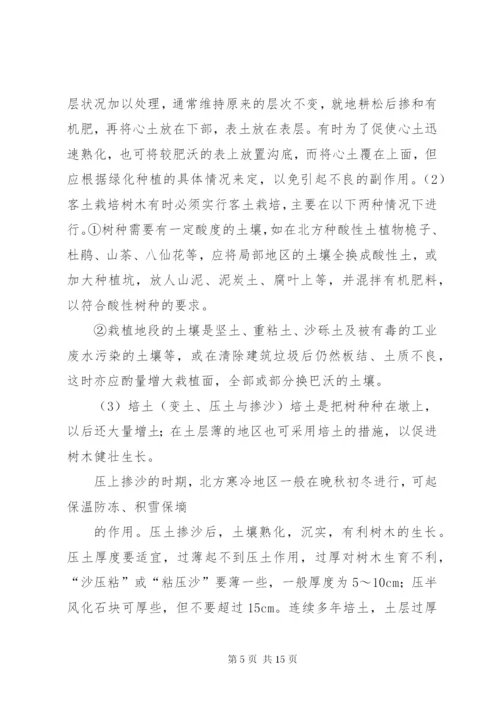 整地及绿化方案.docx