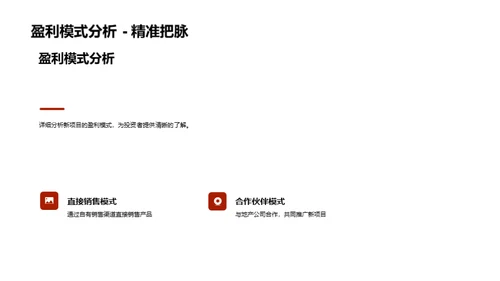 新项目投资展望